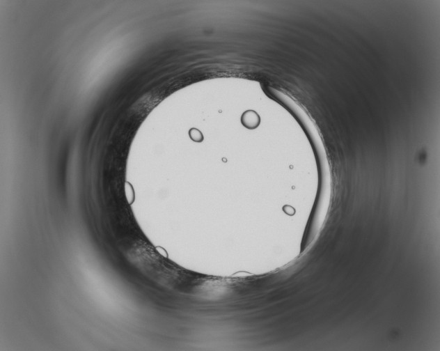 X0000115250190200912111125