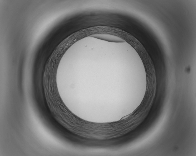 X0000115250191200912111125