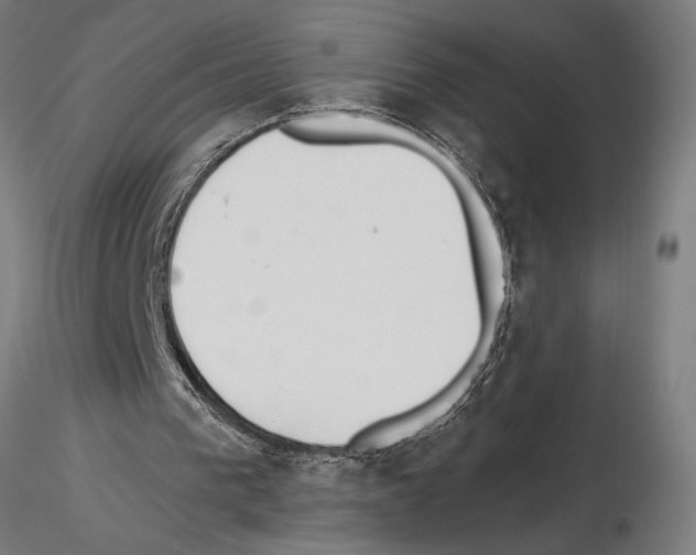 X0000115250193200912111125
