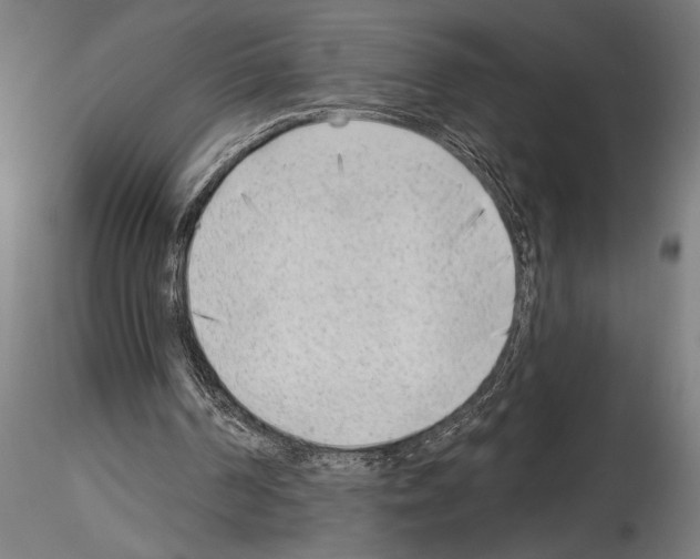 X0000115250194200912111125