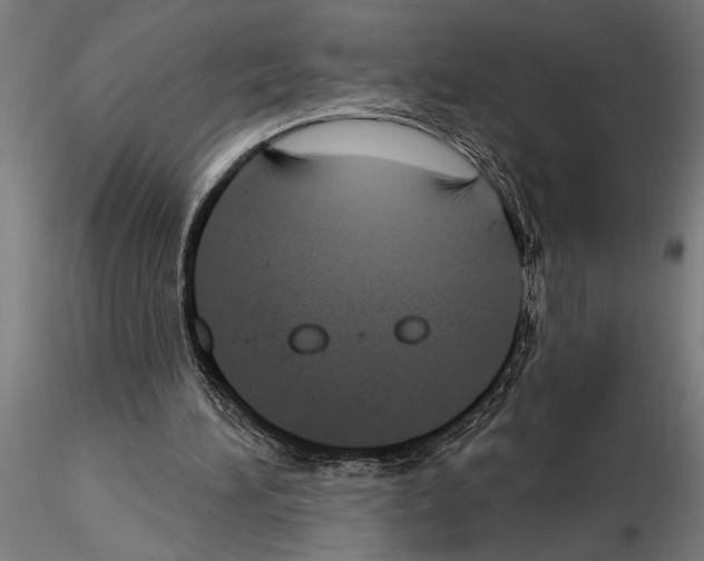 X0000115250196200912111125