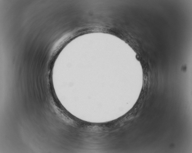 X0000115250197200912111125