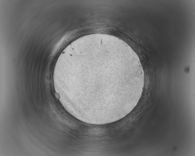 X0000115250198200912111125