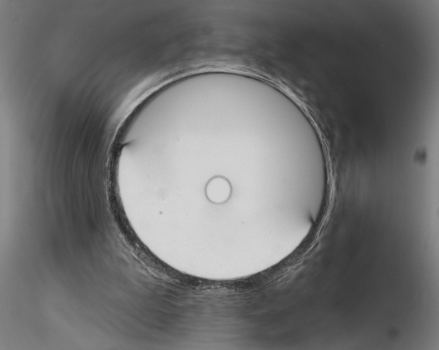 X0000115250199200912111125
