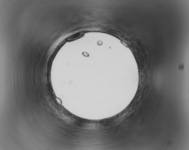 X0000115250200200912111125