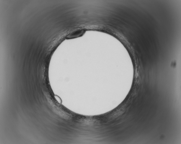X0000115250201200912111124