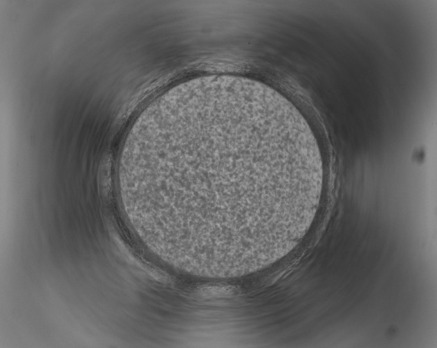 X0000115250202200912111124