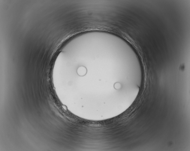 X0000115250203200912111124