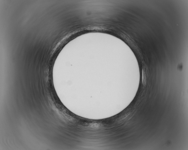 X0000115250204200912111124