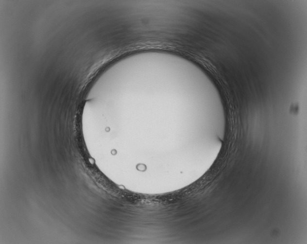 X0000115250207200912111124