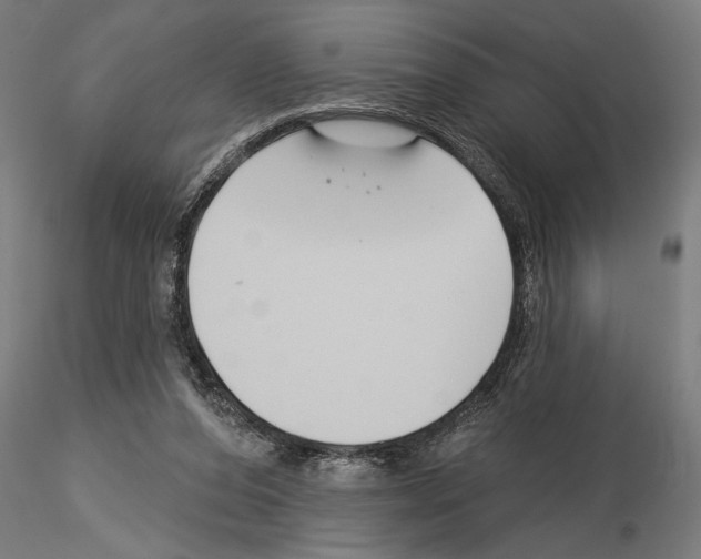 X0000115250208200912111124