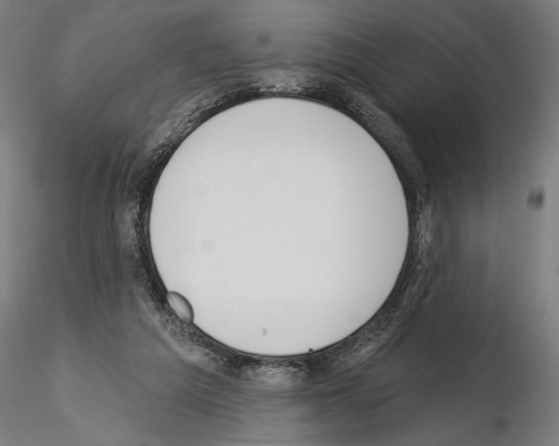 X0000115250209200912111124