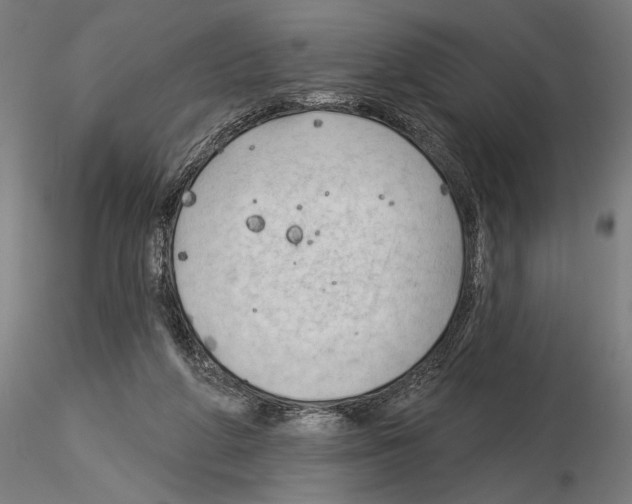 X0000115250210200912111124