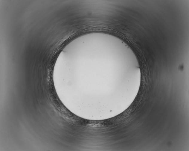 X0000115250211200912111124