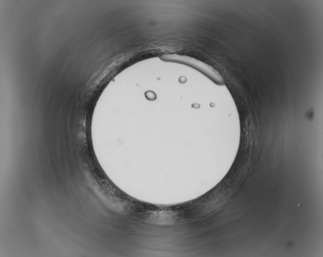 X0000115250212200912111124