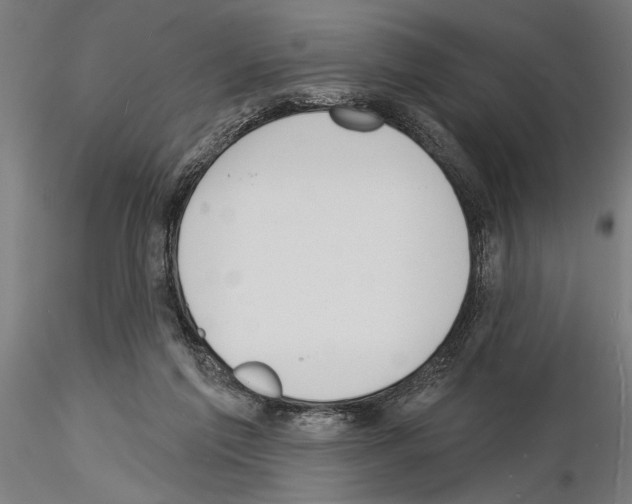 X0000115250213200912111124
