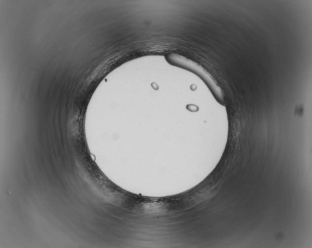 X0000115250216200912111124