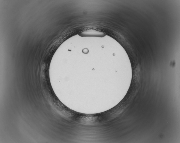 X0000115250217200912111124