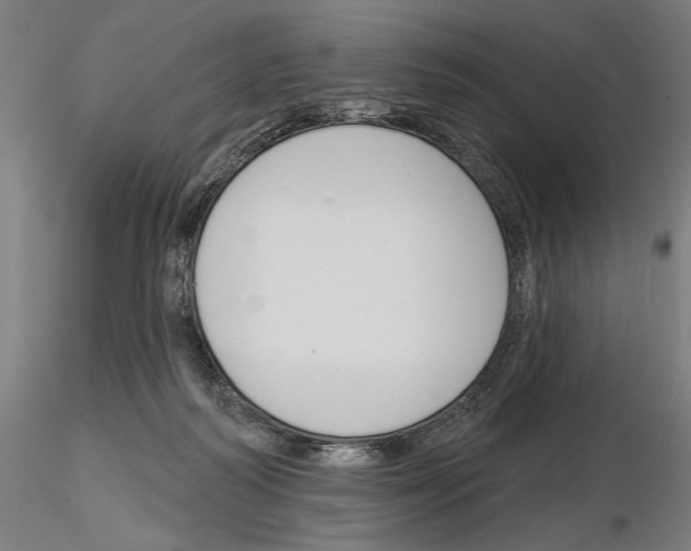 X0000115250218200912111124