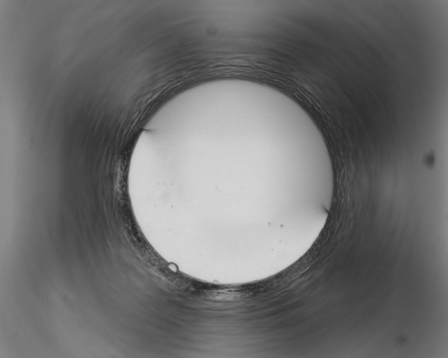 X0000115250219200912111124