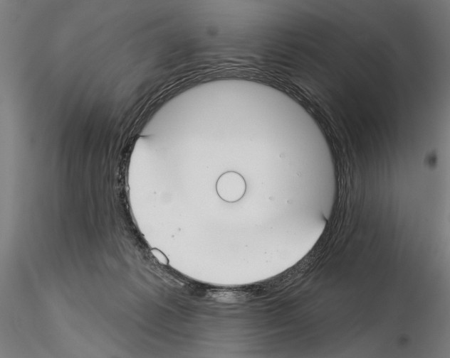X0000115250221200912111124