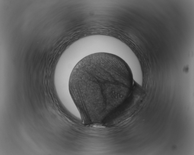 X0000115250223200912111124