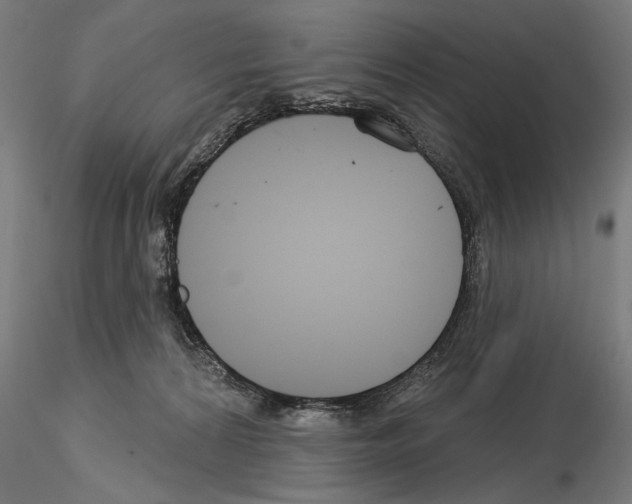 X0000115250224200912111124