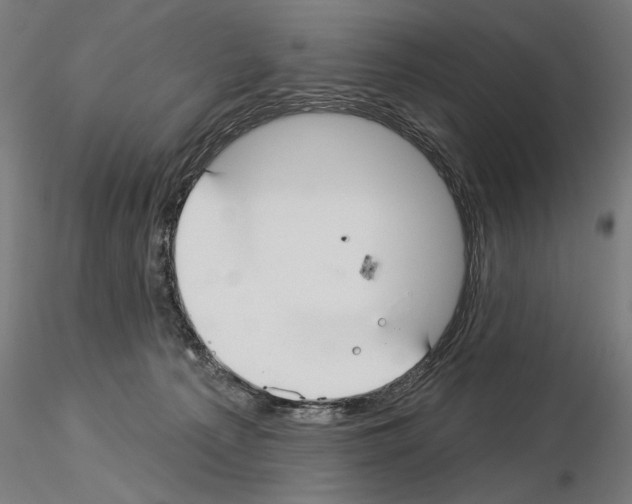 X0000115250225200912111124