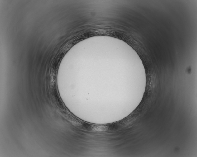 X0000115250226200912111124