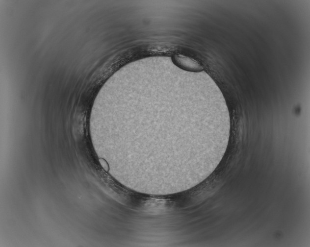 X0000115250227200912111124