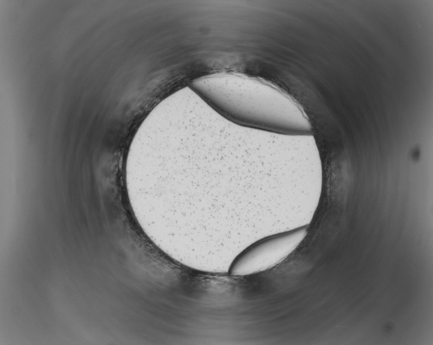 X0000115250229200912111124
