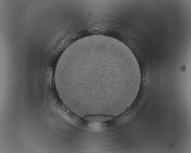 X0000115250231200912111124