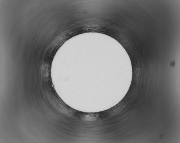 X0000115250232200912111124