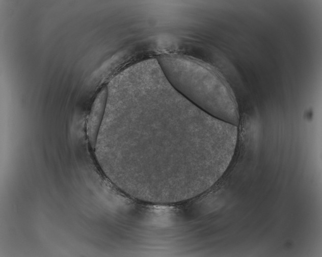 X0000115250233200912111124