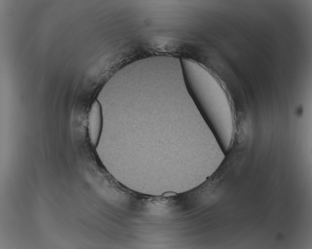 X0000115250235200912111124