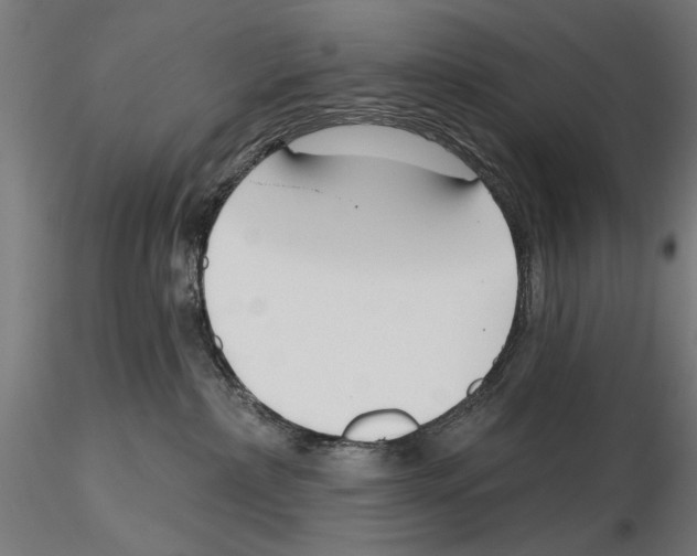 X0000115250236200912111124