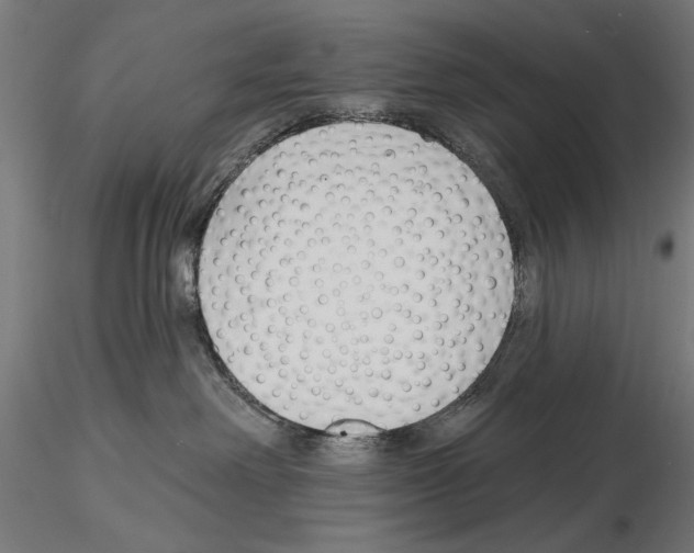 X0000115250238200912111124