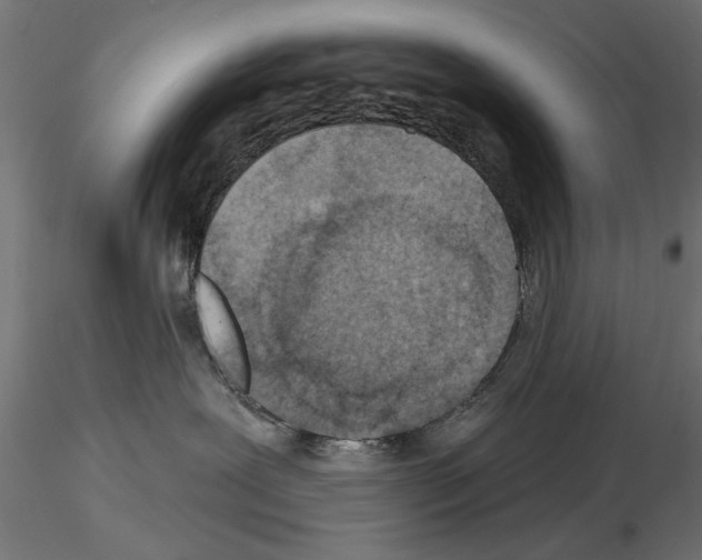 X0000115250239200912111124