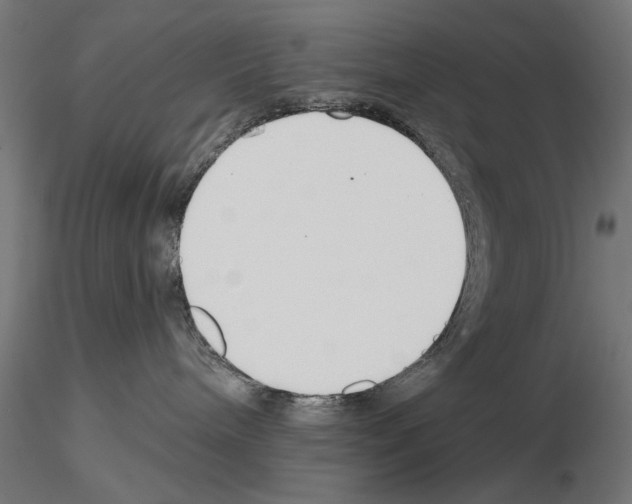 X0000115250240200912111124