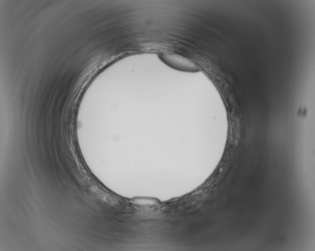 X0000115250241200912111123