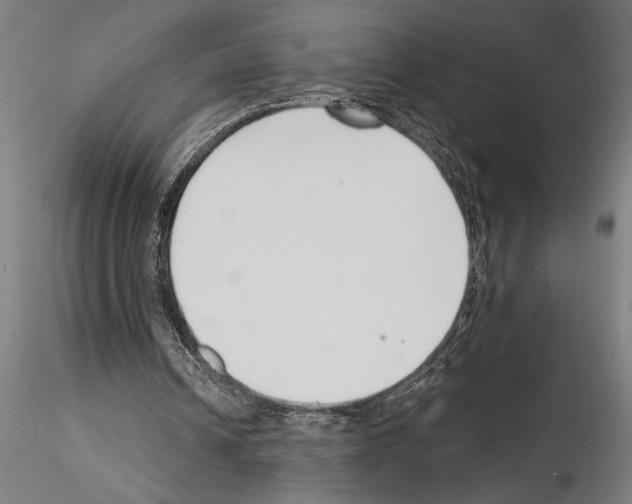 X0000115250242200912111123