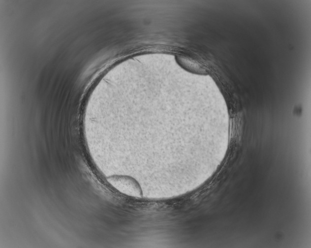 X0000115250243200912111123