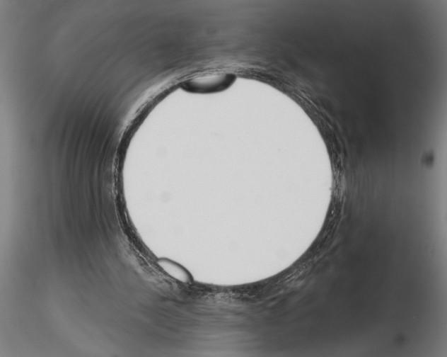 X0000115250244200912111123
