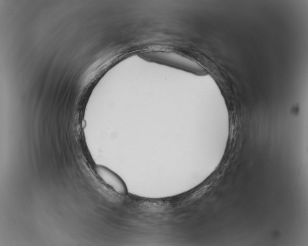 X0000115250245200912111123