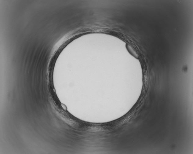 X0000115250246200912111123