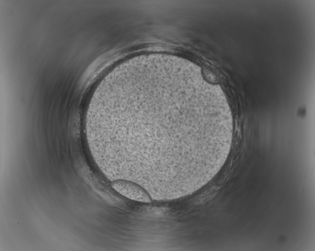 X0000115250247200912111123