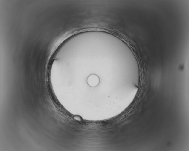 X0000115250248200912111123