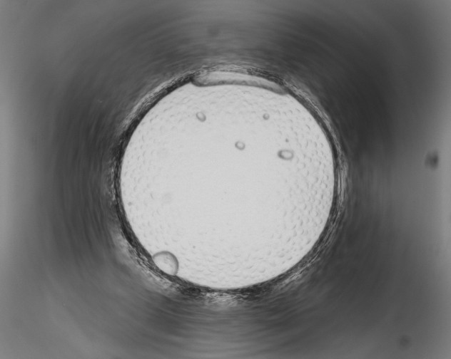X0000115250249200912111123