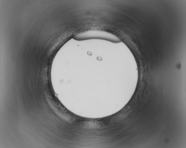 X0000115250250200912111123