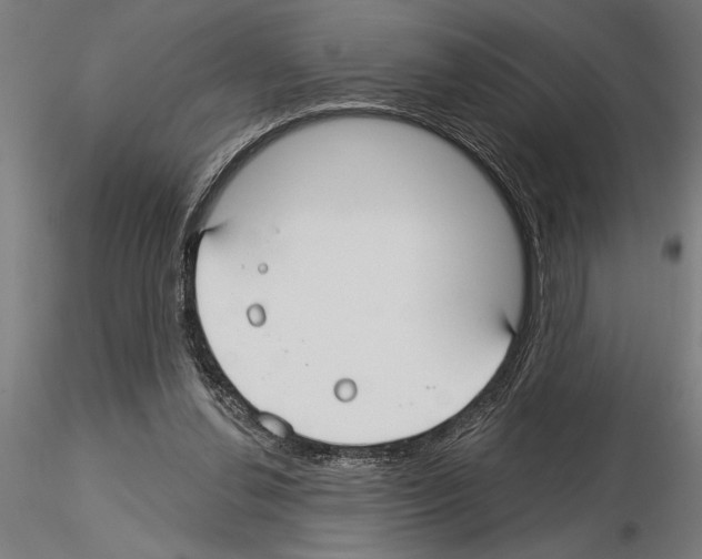X0000115250252200912111123